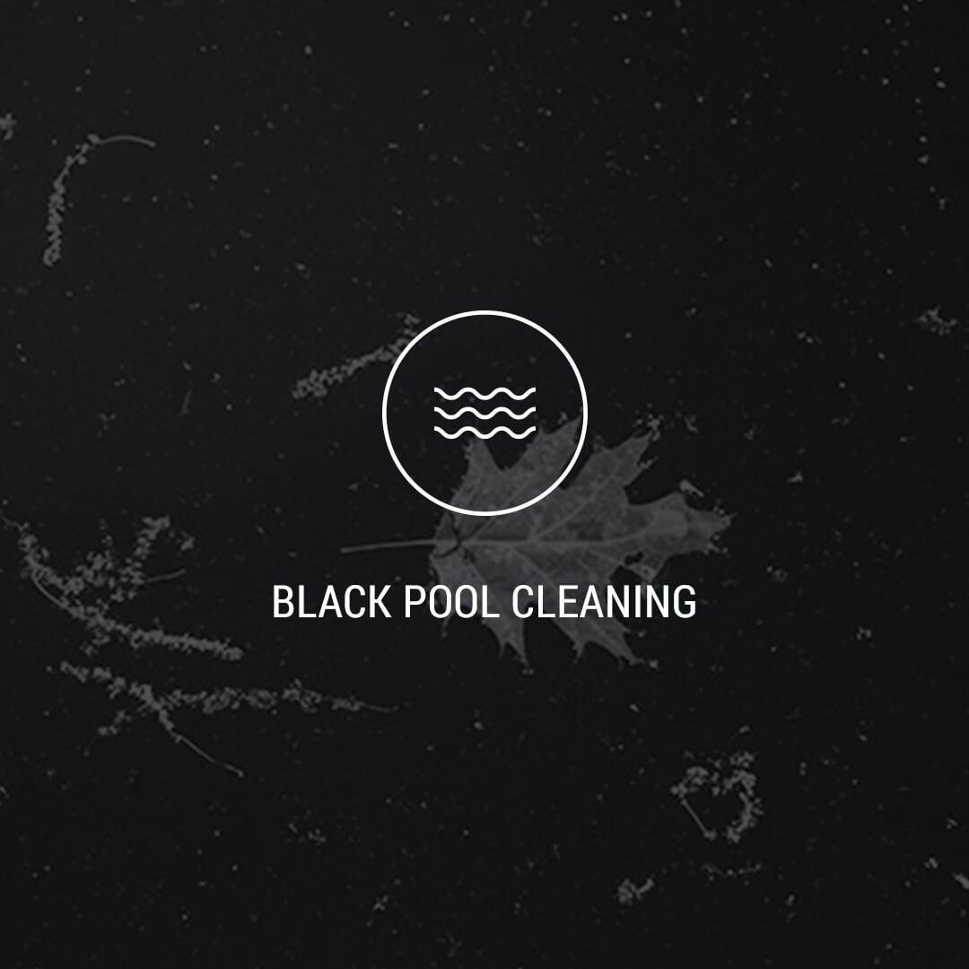 4 Black Pool Cleaning