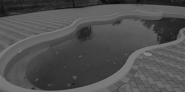 bullet-image-5d3b64239bfec
