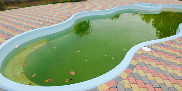 green-pool-cta-5d3f0405155d7 (1)