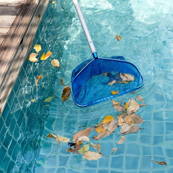 Pool Crystal Clear 1