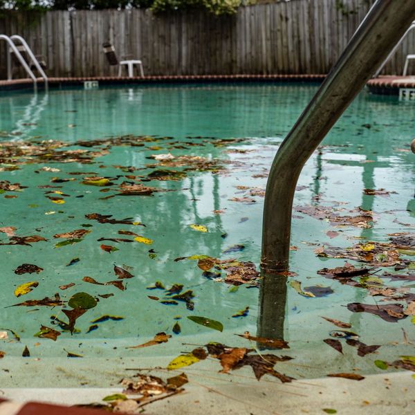 The Risks of Inconsistent Pool Cleaning for Your Residential Pool 3